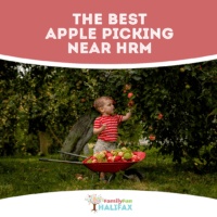 boy picking apples in front of a wheel barrel full of apples