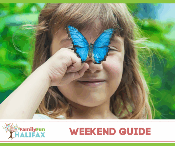 Weekend Guide August 15-17 Halifax