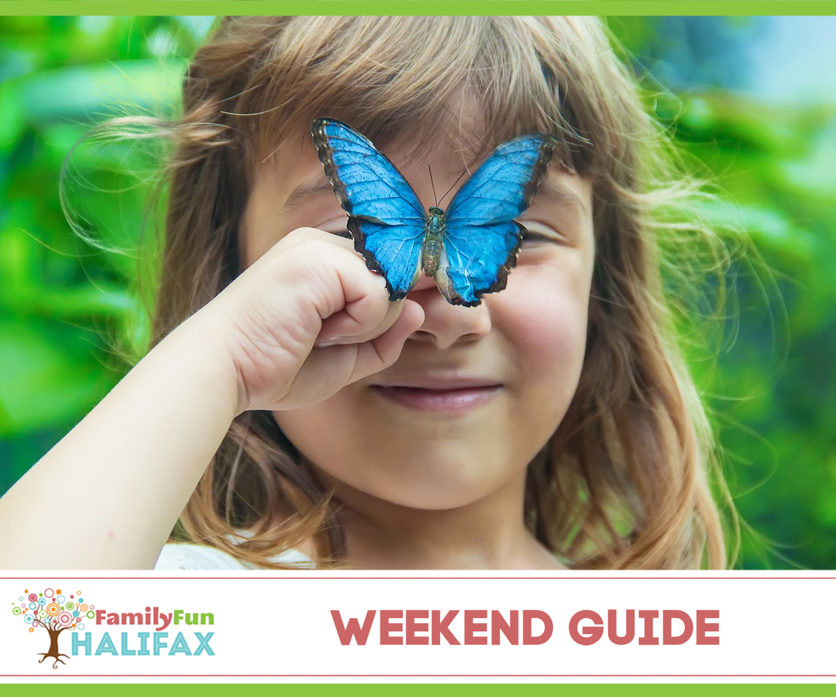 Weekend Guide August 15-17 Halifax
