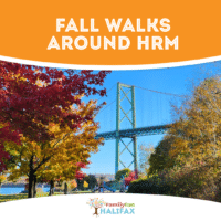 View of the McKay Bridge from Africkville Park, Halifax in the fall will red and yellow leaves on the trees