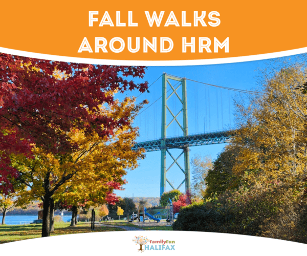 Red and Yellow leaves on trees at Africville Park with the MacKay Bridge in the background