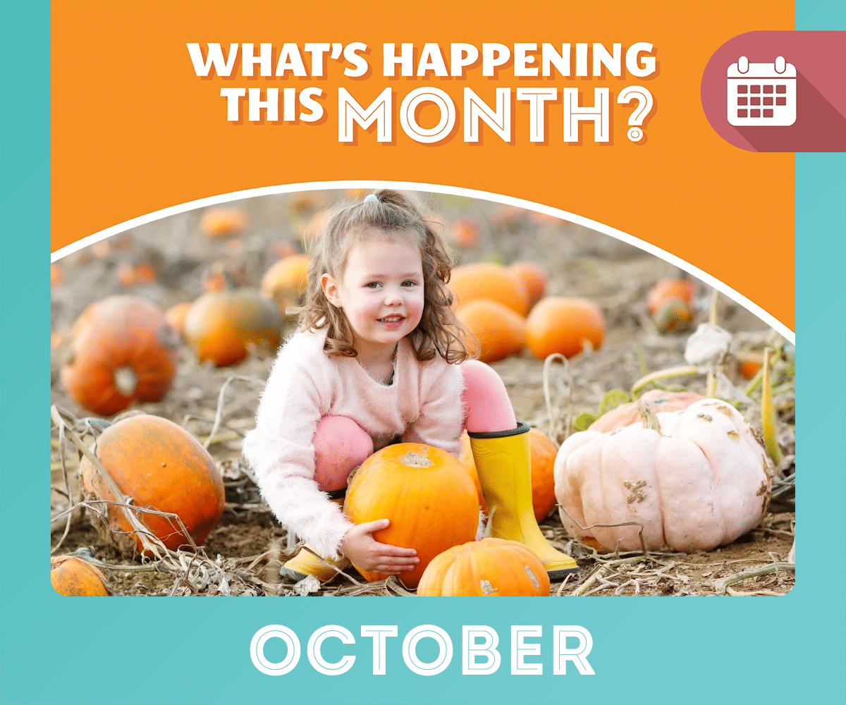 A young girl crouching beside a pumpkins at a pumpkin patch
