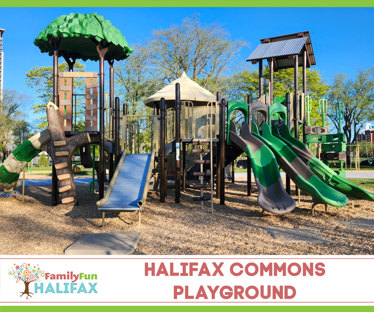 Halifax Commons Playground