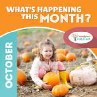 A young girl crouching near pumpkins in a pumpkin patch