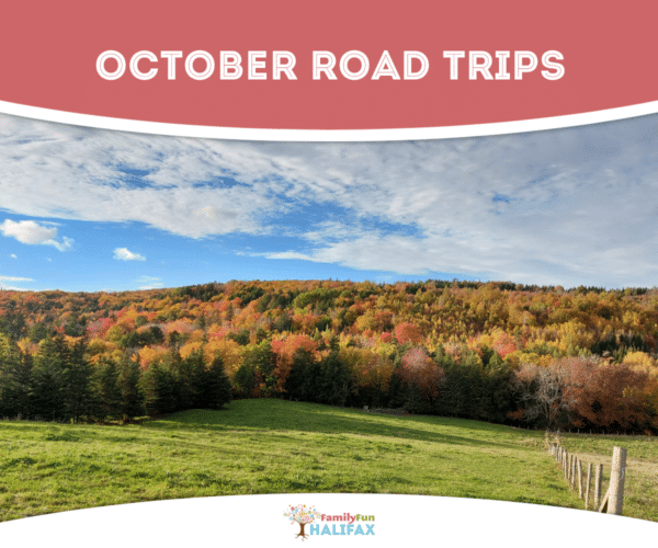 Image of a rural NS field with colourful red and oranges trees behind it