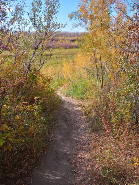 Área de Conservação de Cranberry Flats