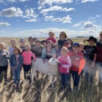 Farm One Forty Summer Camps