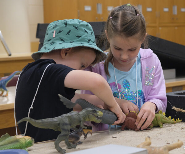 Museum of Natural Sciences Summer Camps