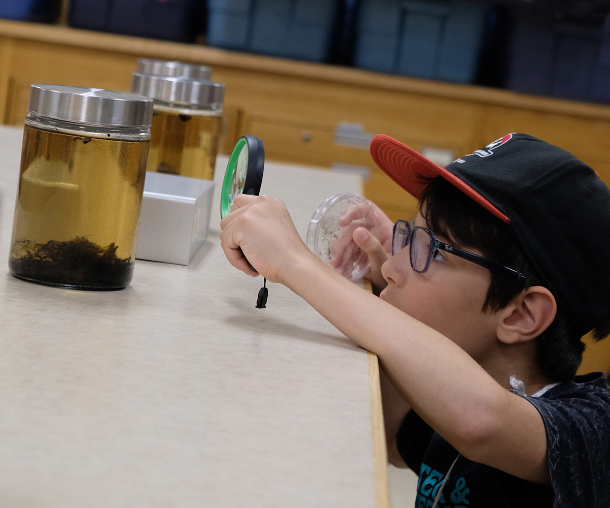 Museum of Natural Sciences Summer Camps