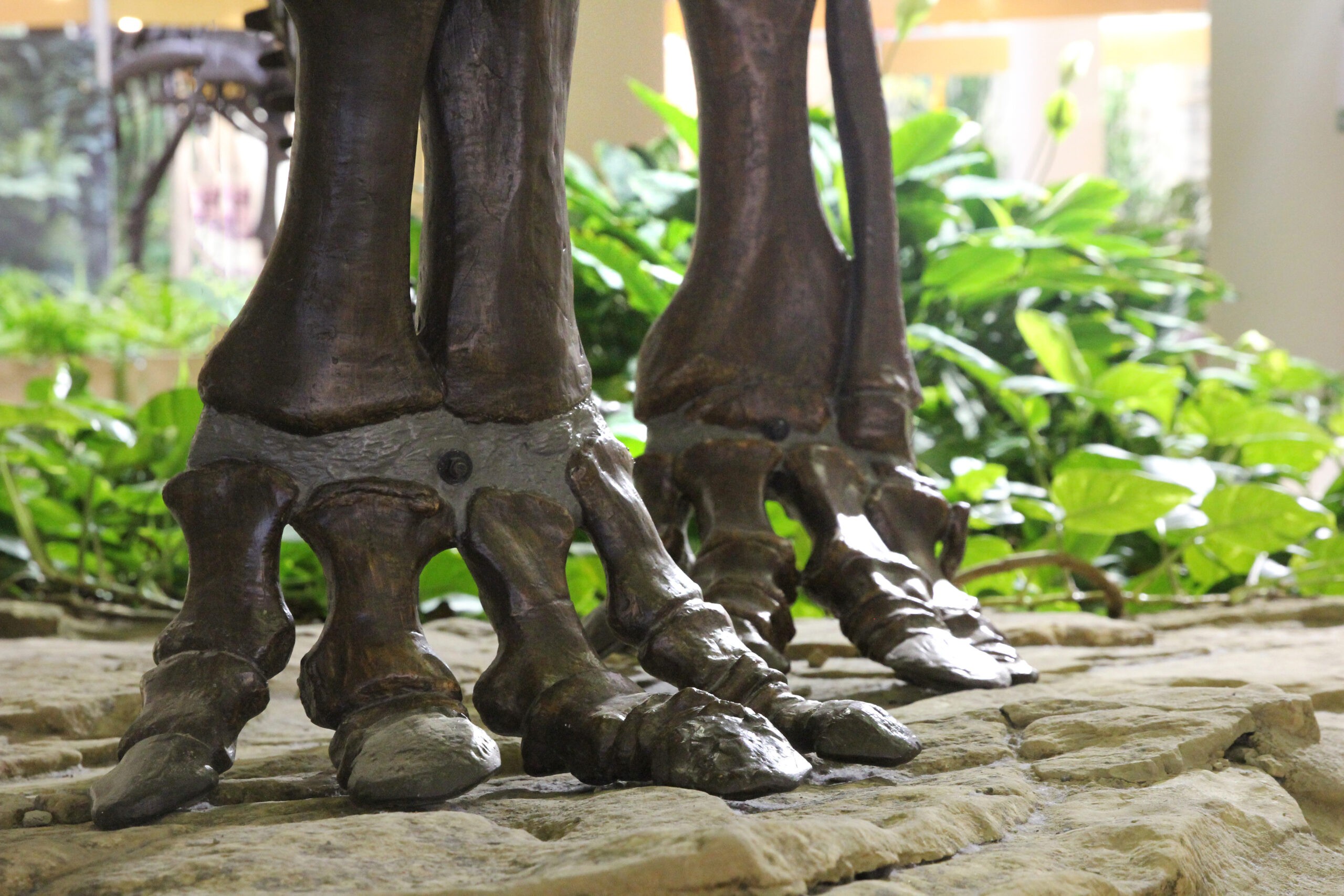Museum of Natural Sciences Summer Camps