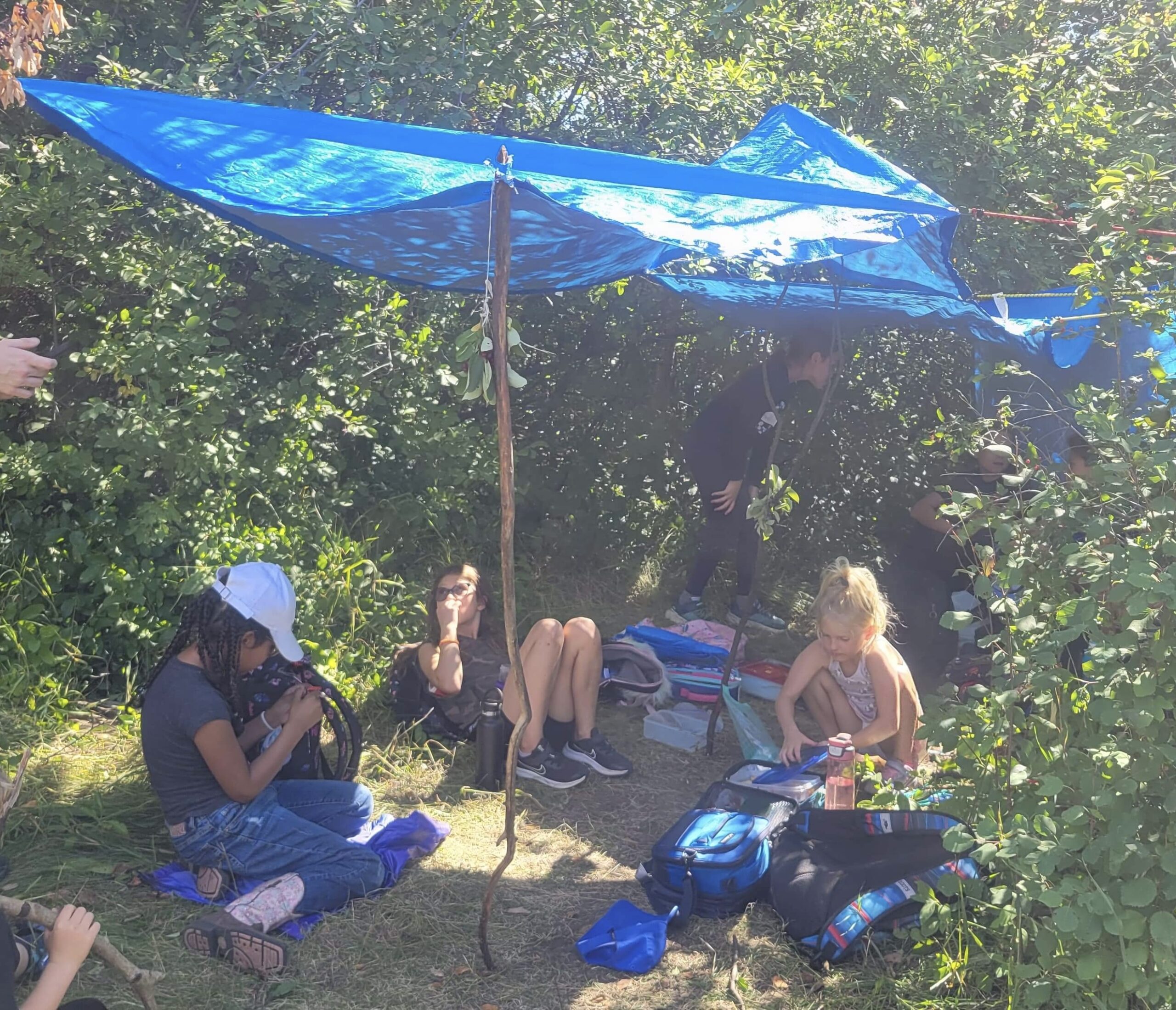 Camp d'été de l'école de la forêt