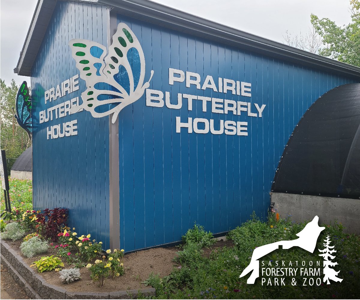 Saskatoon Forestry Farm Park & Zoo | The Prairie Butterfly House