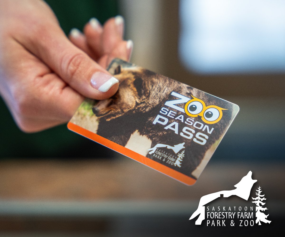 Saskatoon Forestry Farm Park & Zoo | Hand Holding Zoo Season Pass