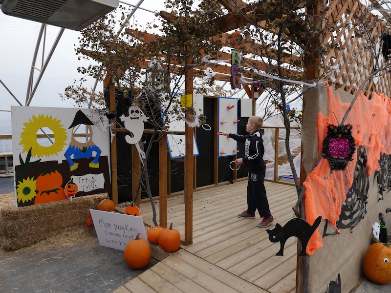 Labyrinthe de la zone des enfants d'Halloween de Berry Barn