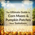 Corn Mazes Pumpkin Festivals Saskatoon