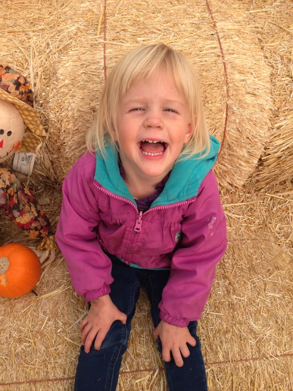 pumpkin maze