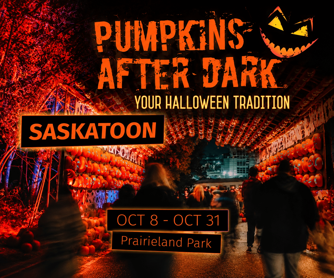 Pumpkins After Dark
