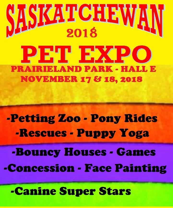 Animal Lovers Paradise At The Saskatoon Pet Expo Family Fun Saskatoon