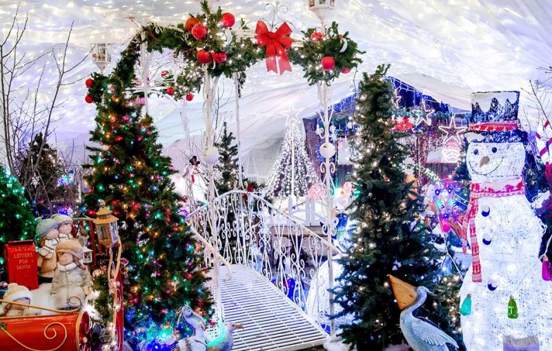 Snow Christmas Decorations Lights Snow Christmas Decorations Lights