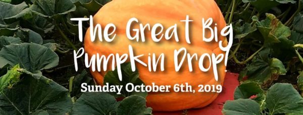 The Great Big Pumpkin Drop