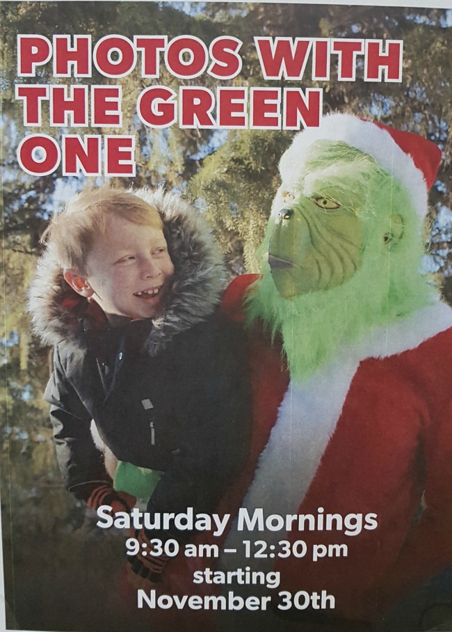 Pictures with the grinch
