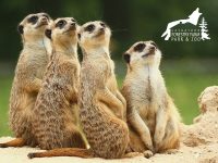 Parc forestier et zoo de Saskatoon