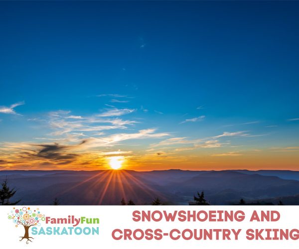 Make Tracks in the Bridge City! The Best Places to CrossCountry Ski