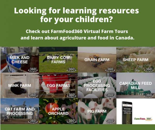Farm Food Virtuelle Tour