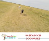 Hampton Dog Park -Erin McCrea