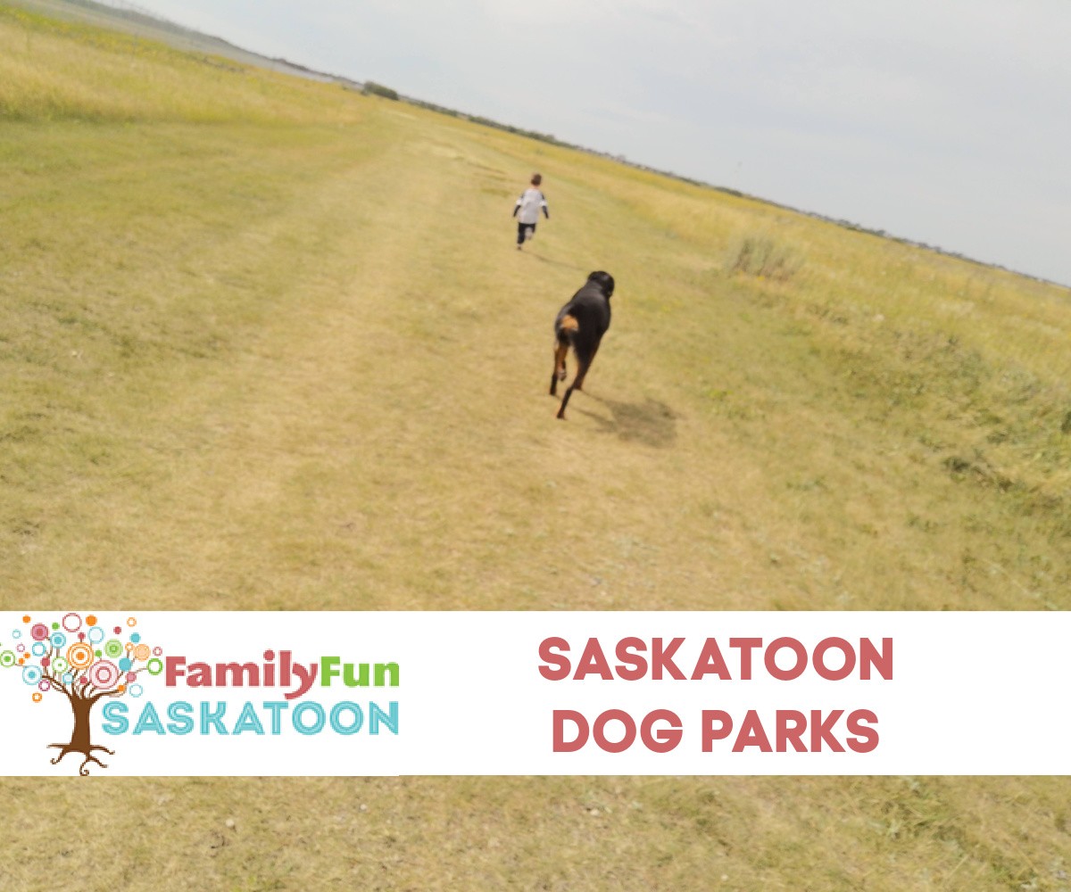 Parques para perros de Saskatoon