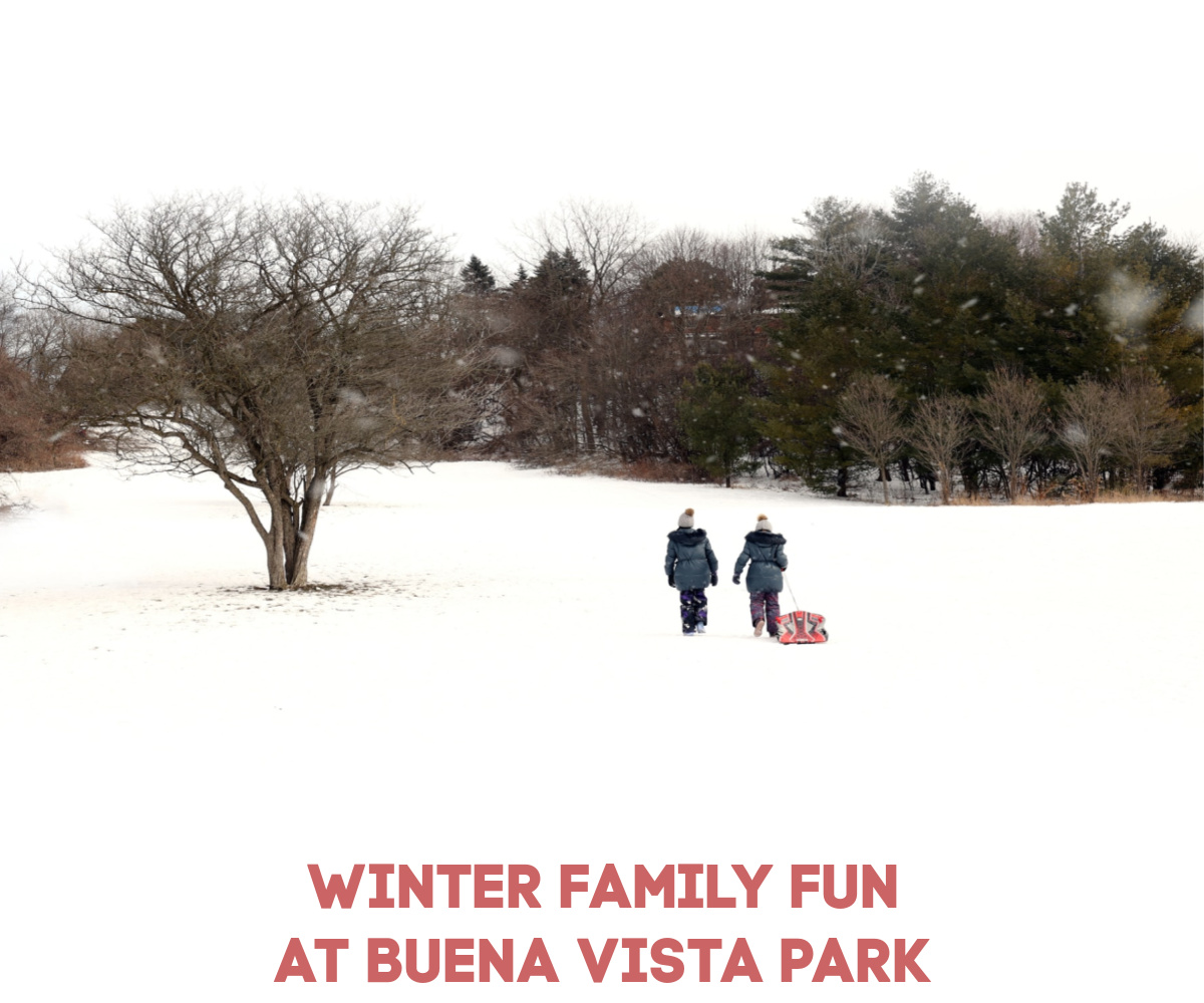 Winter Family Fun