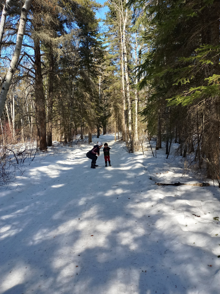 Little-Red-River-Park-Senderos