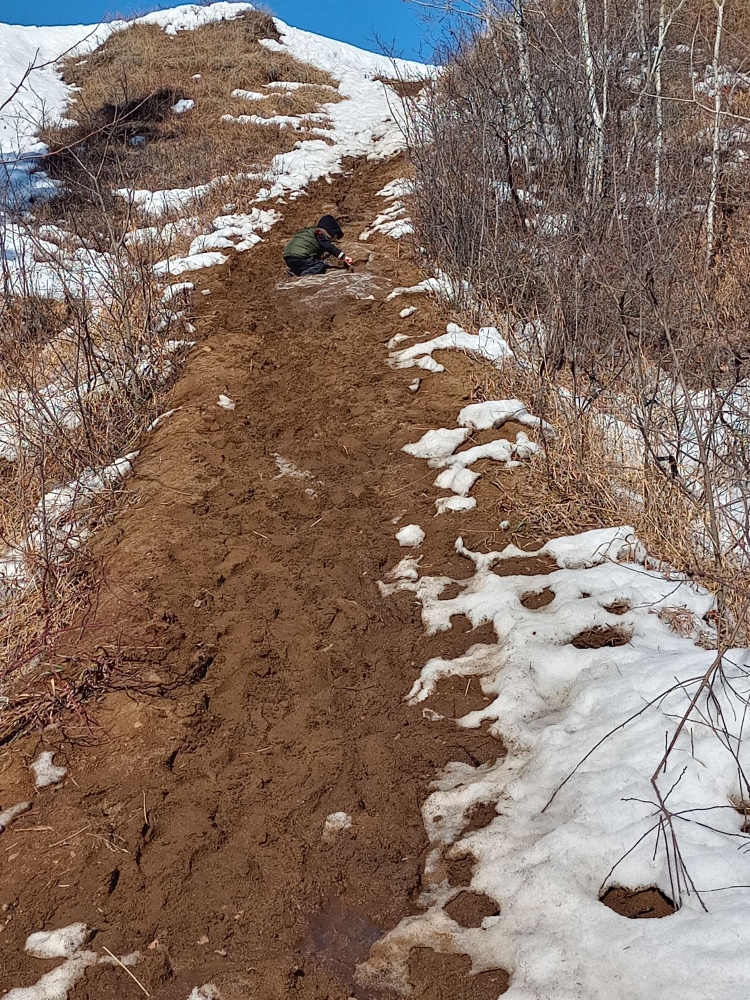 mud and puddles