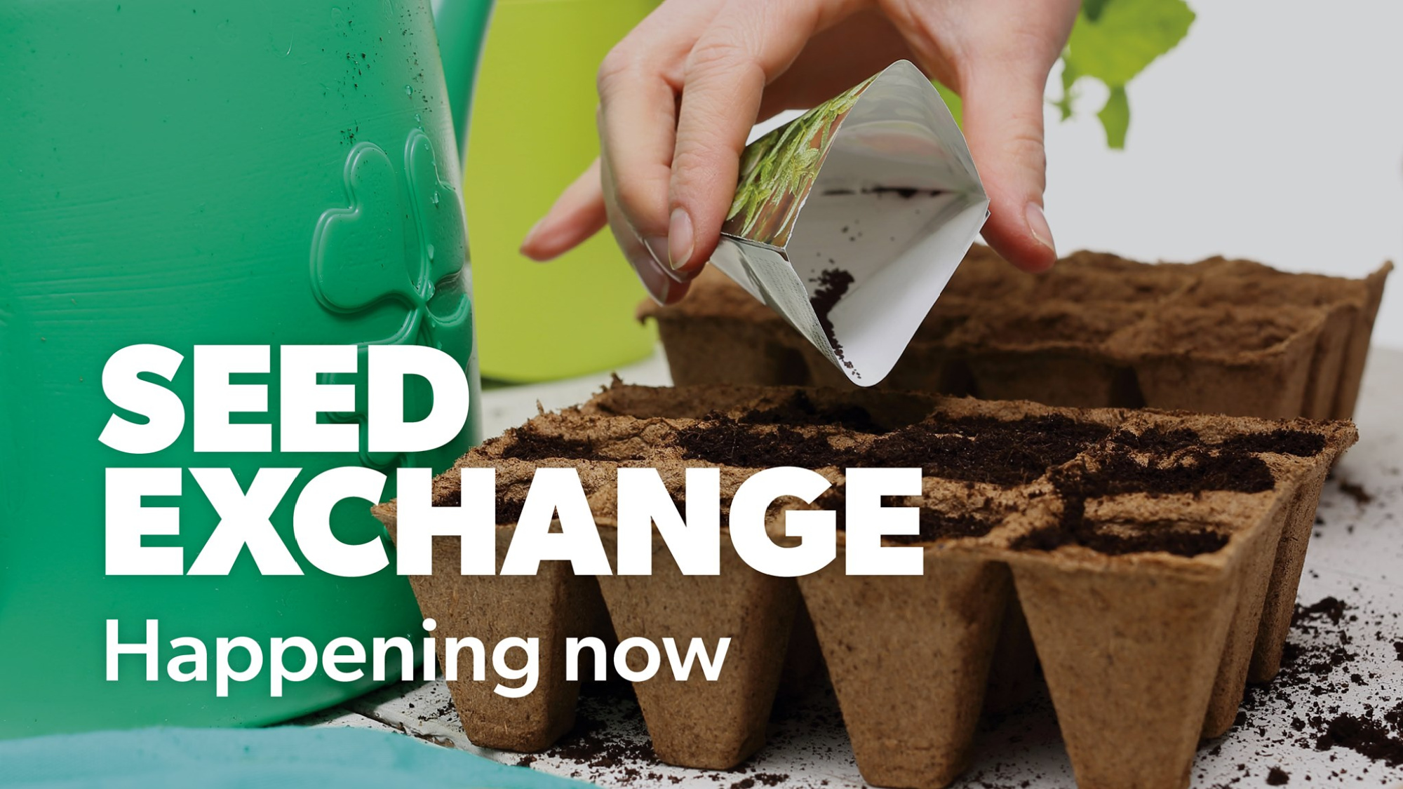 Library Seed Exchange