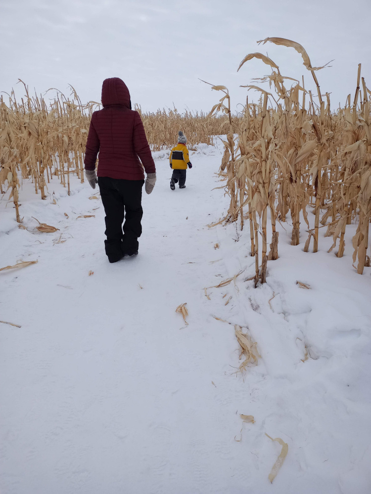 corn maze winter edition