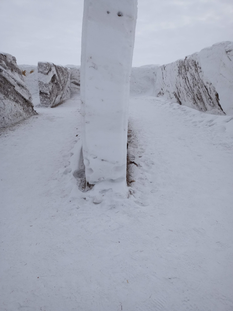 edición de nieve