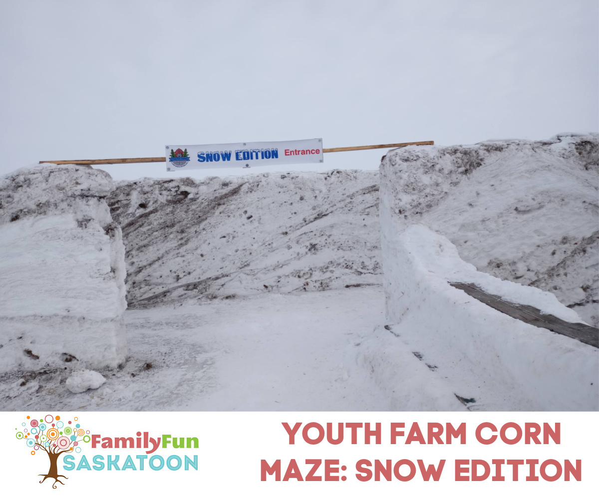 Labyrinthe de maïs de la ferme pour les jeunes