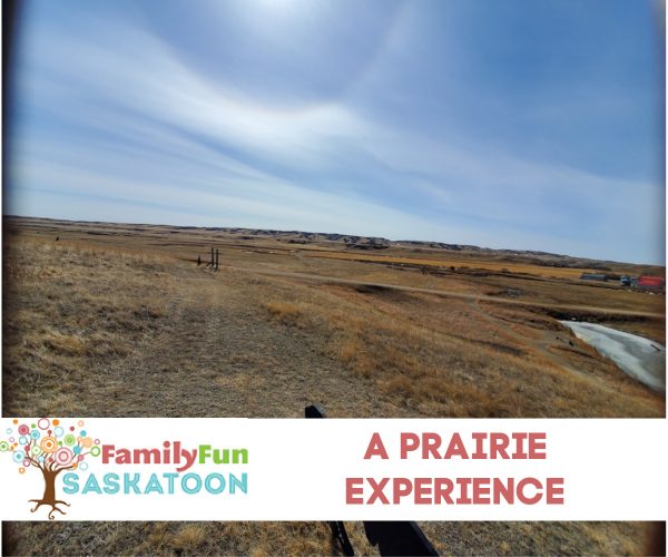 Une expérience des Prairies