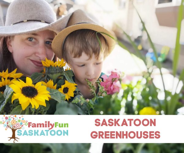 saskatoon-greenhouses