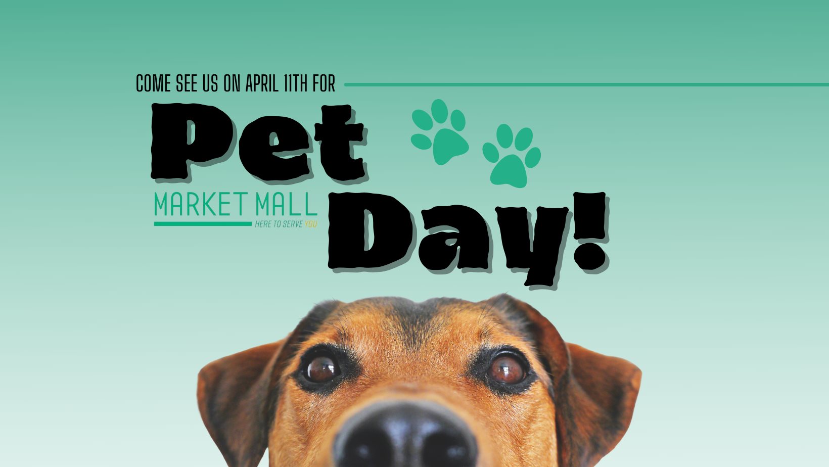 pet-day-market-mall