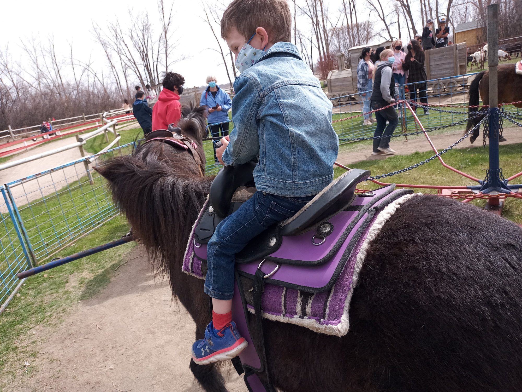 berry-barn-an-afternoon-of-fun