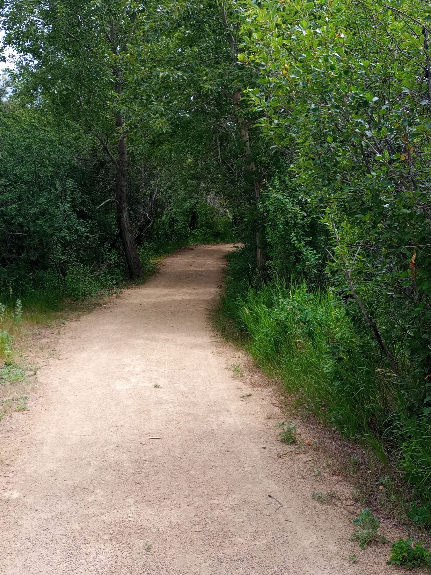 Parque del patrimonio de Wanuskewin