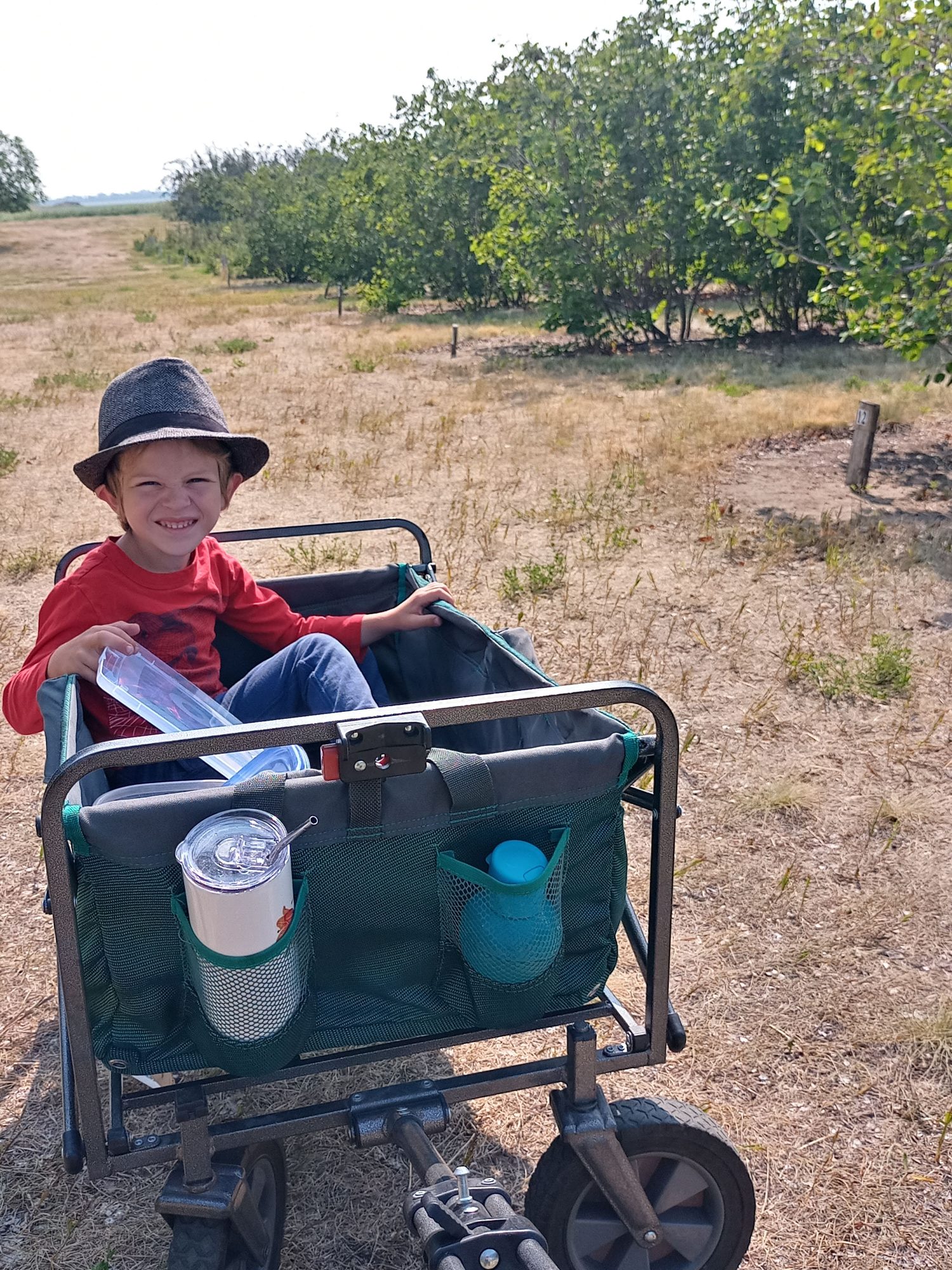 picking saskatoons at rhodes'