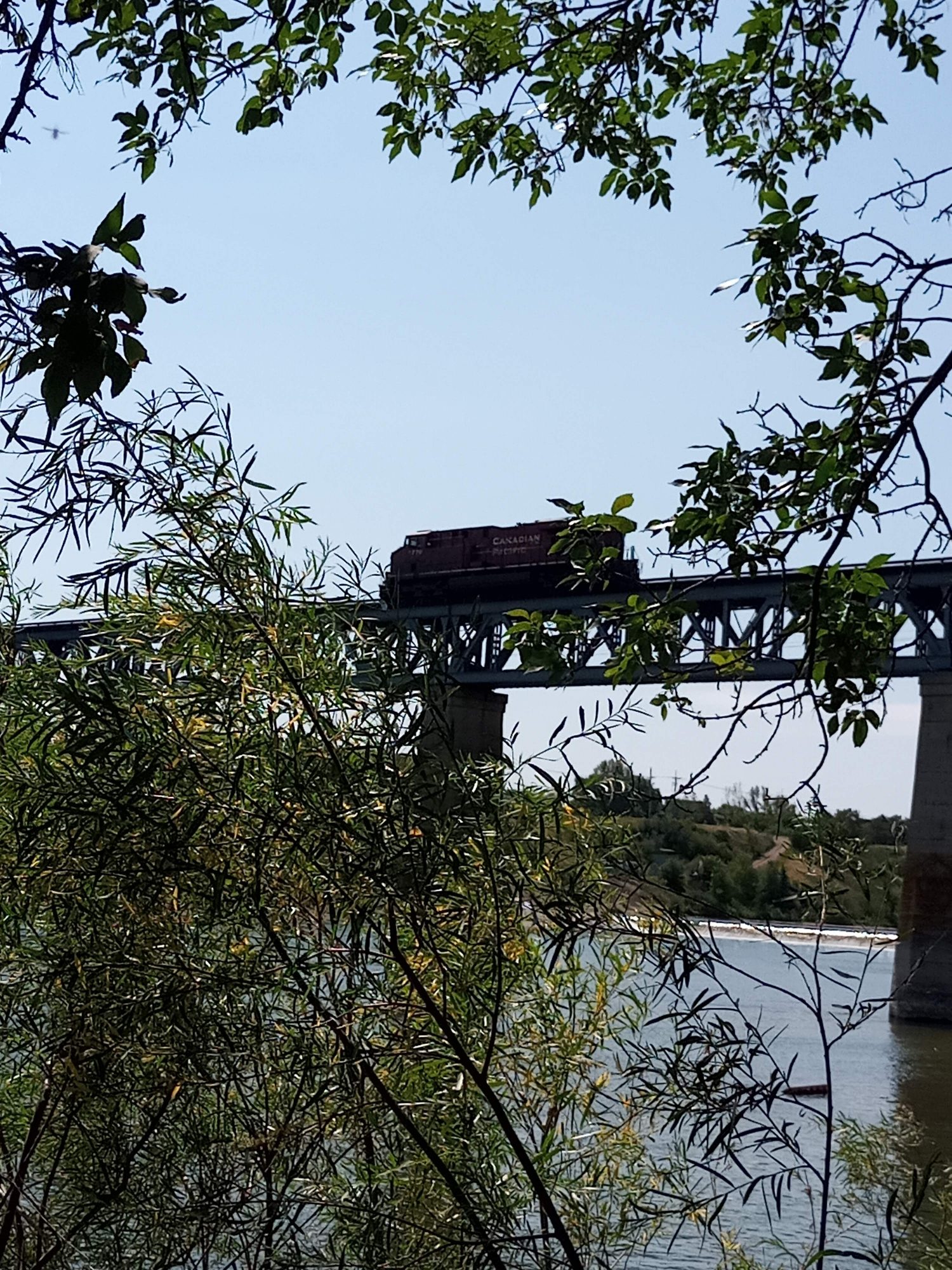 Paseos por el río Saskatoon