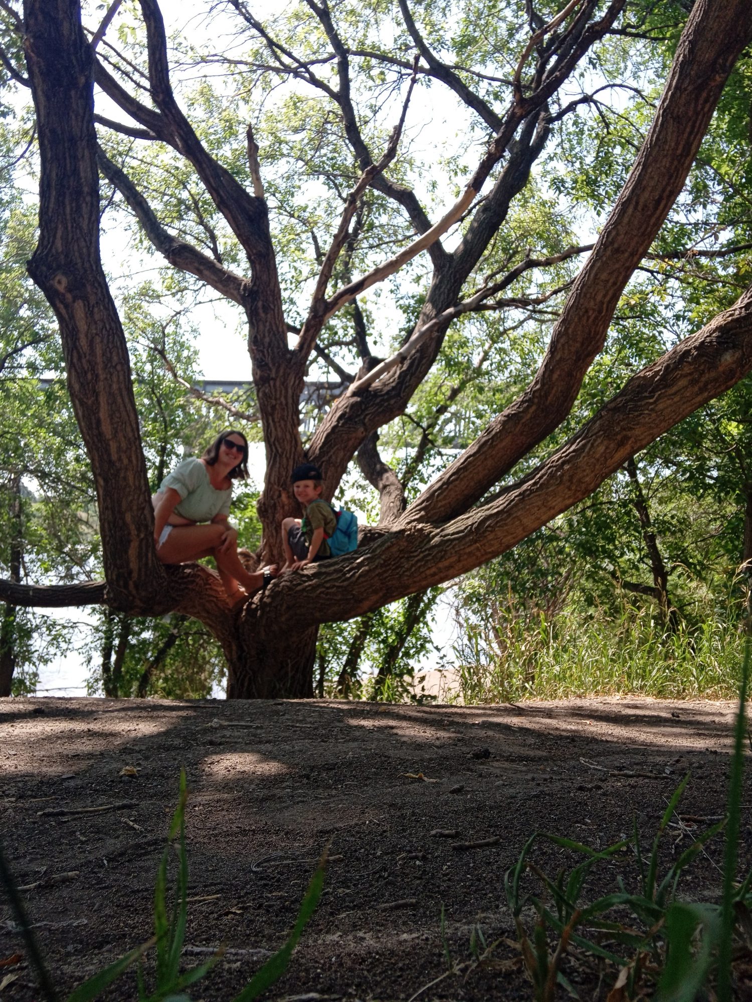 Paseos por el río Saskatoon