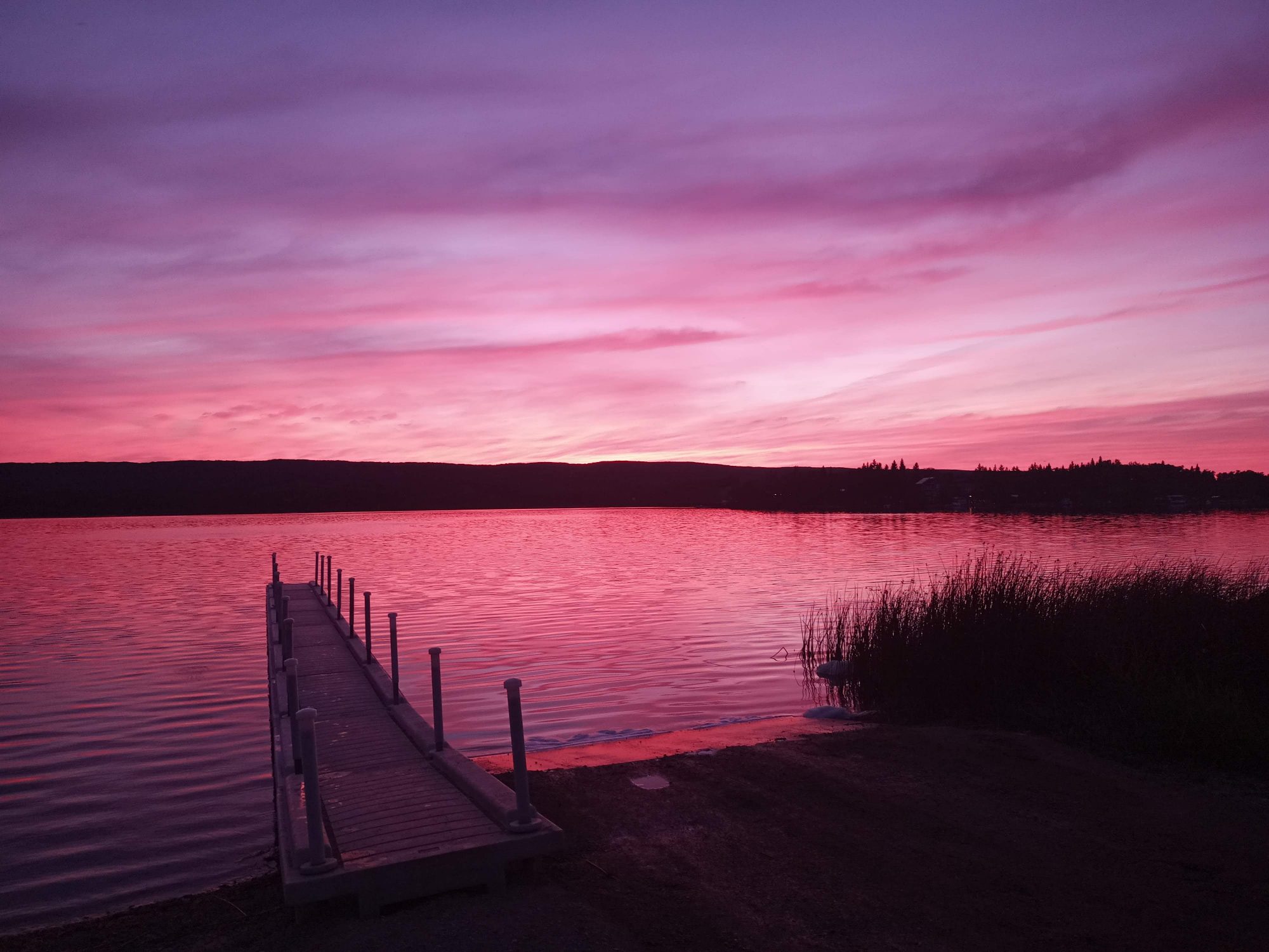 Martins Lake Regionalpark