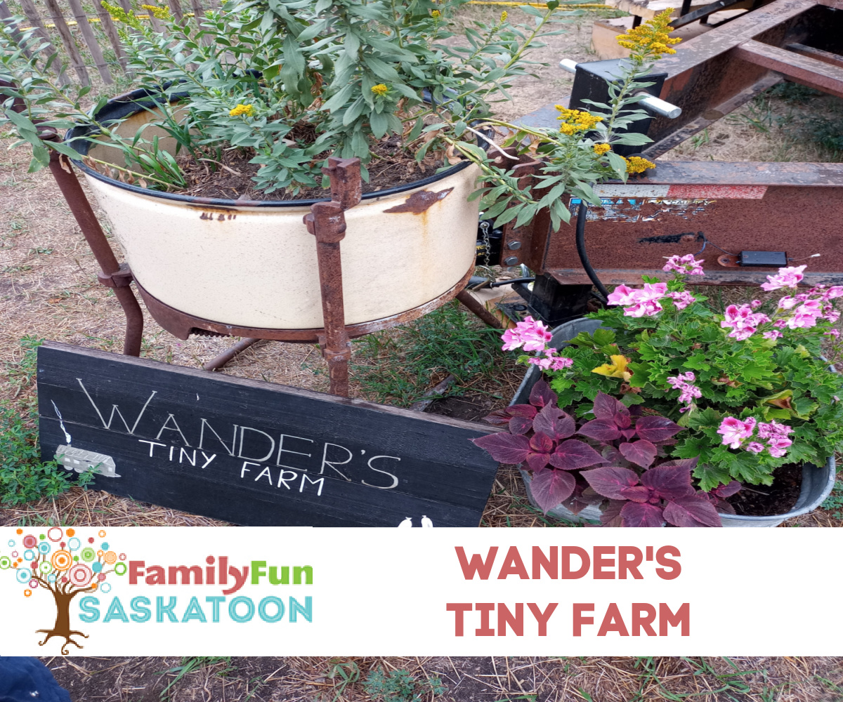 Wander's Tiny Farm