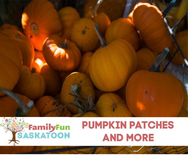 Saskatoon Pumpkin Patches