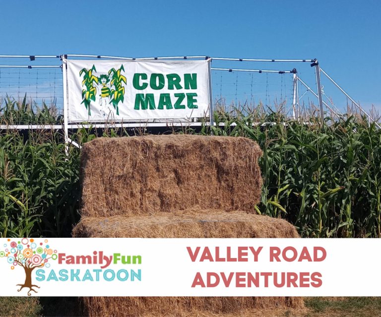 Sunflowers and Corn Mazes all on Valley Road! Family Fun Saskatoon