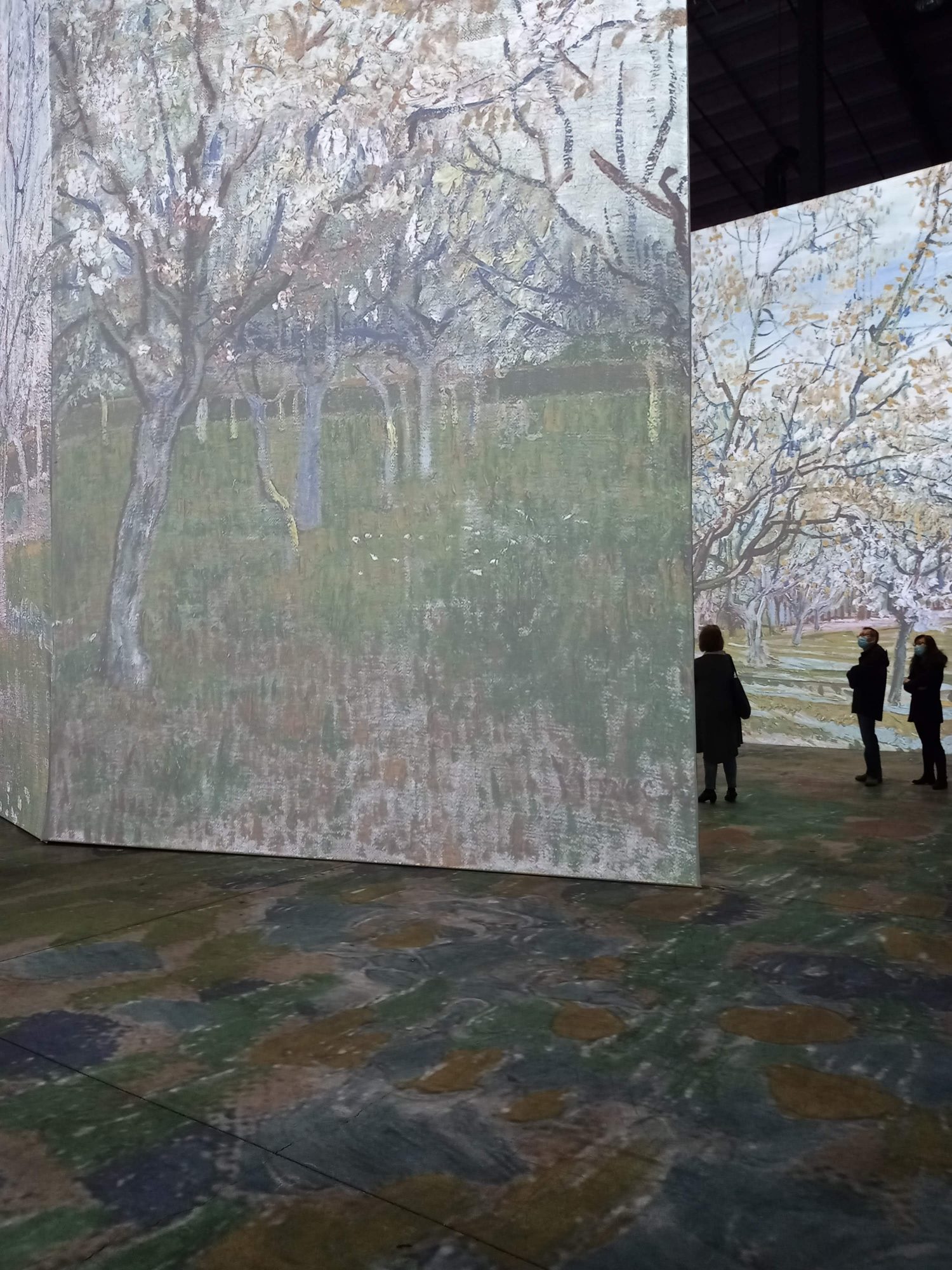 Experiencing Imagine Van Gogh